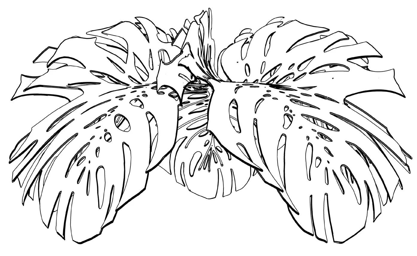 Dimensioned line drawing